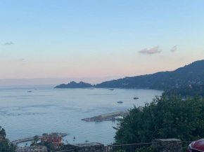 La nave sospesa Rapallo
